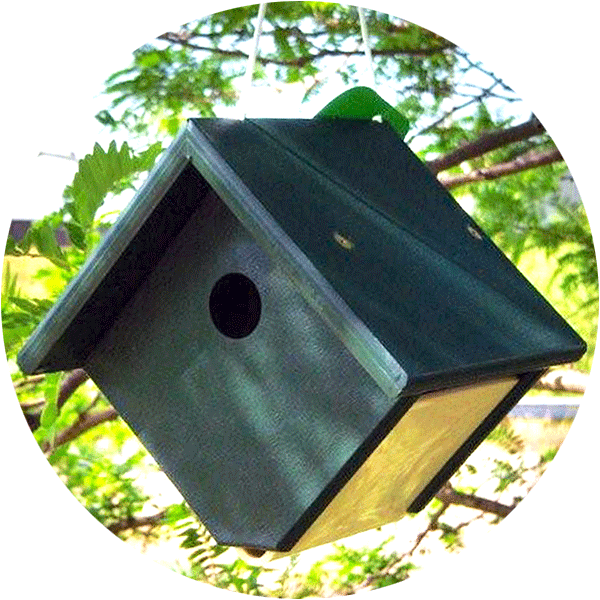 green diamond shaped bird house